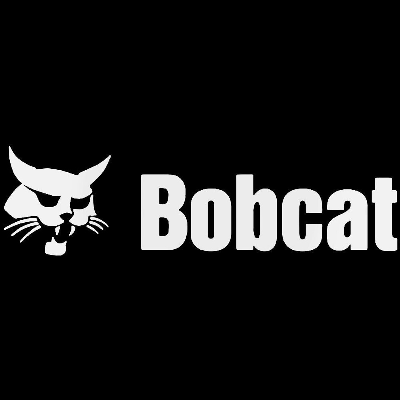 Bobcat