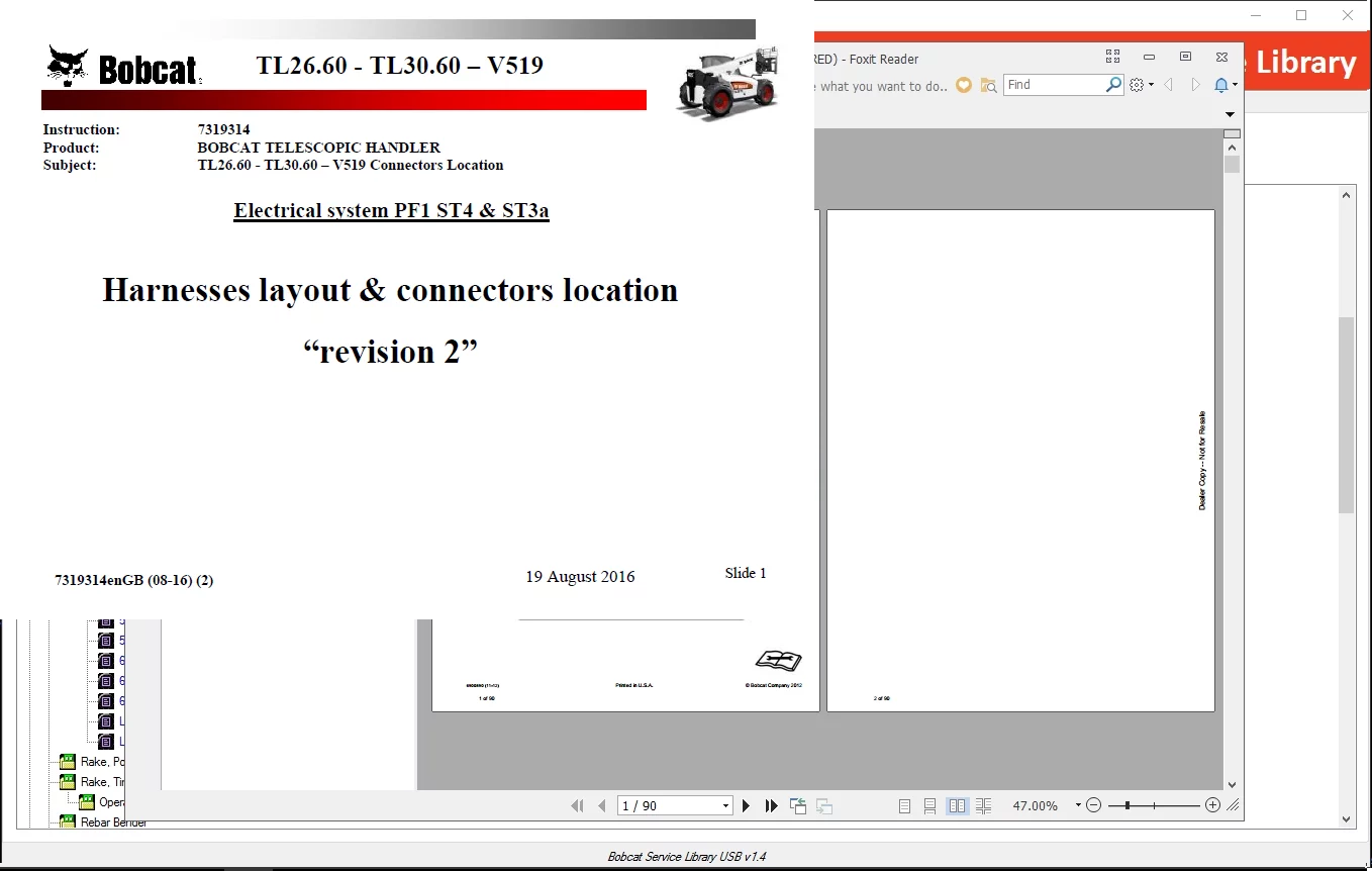 Morcegos Bobcat 05.2021 